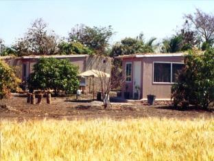 Gir Birding Lodge Sasan Gir Exterior foto