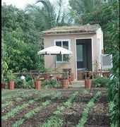Gir Birding Lodge Sasan Gir Exterior foto